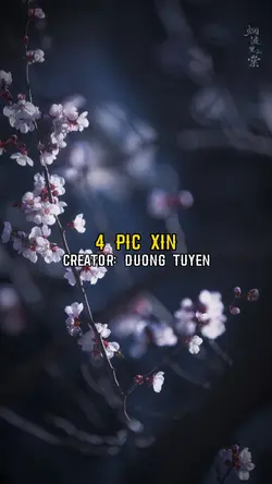 4 ẢNH XỊN