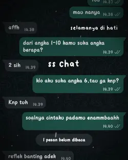SS chat 