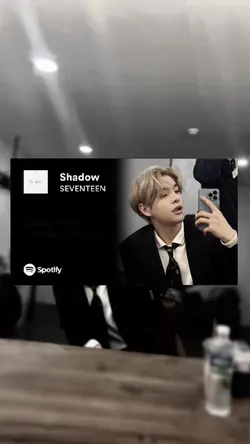 shadow seventeen
