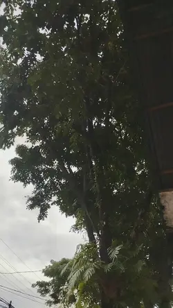 vlog hari guru 