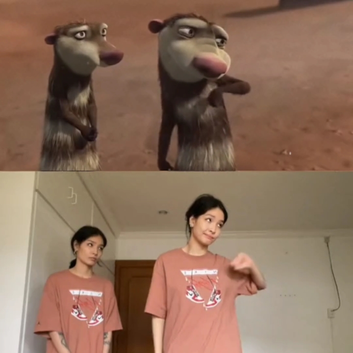 冰河世纪时刻