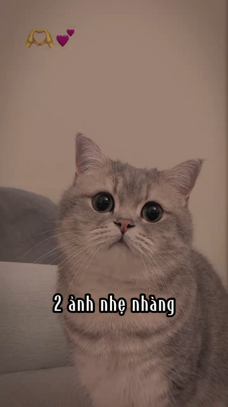 2 ảnh nhẹ nhàng
