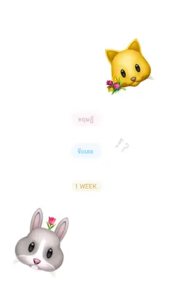 ทฤษฎีจีบเธอ1week🐰💭