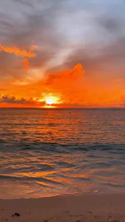 cinematic senja