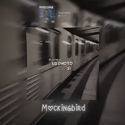 Mocking bird 