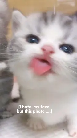 ❤️🥺