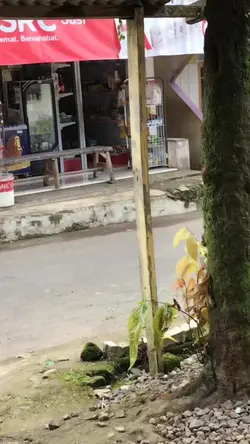 Pasang Video Kalian