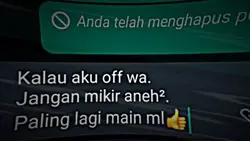 newtren