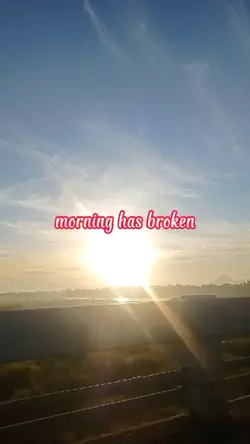 #morninghasbroken
