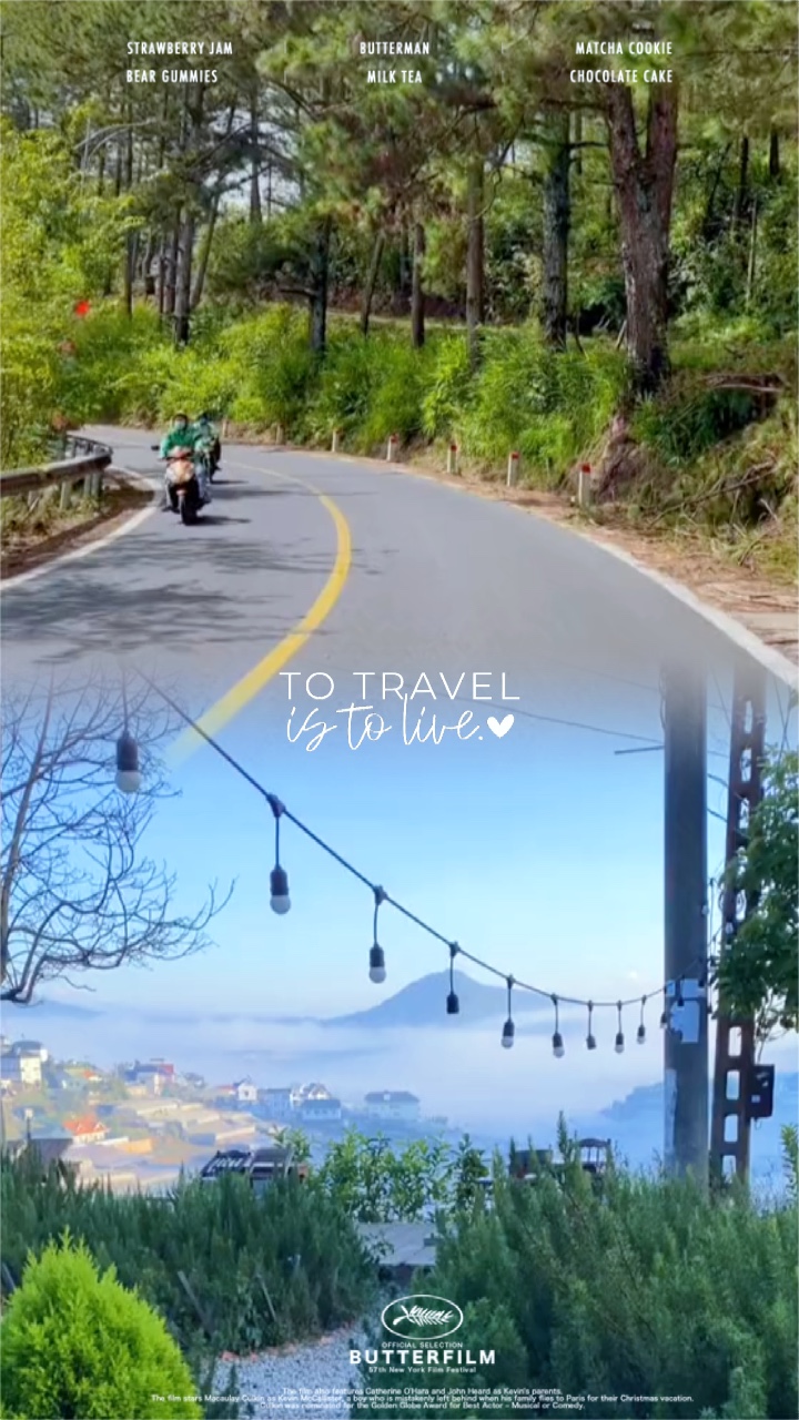 Daily Travel 🌿