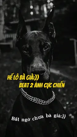 hế lô bà già