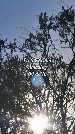 Tiktok sound amazing