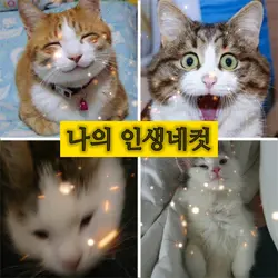 숨겨왔던 나의 표정