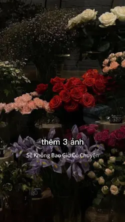 Thêm 3 ảnh