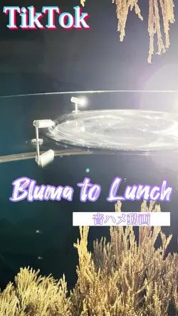Bluma to Lunch