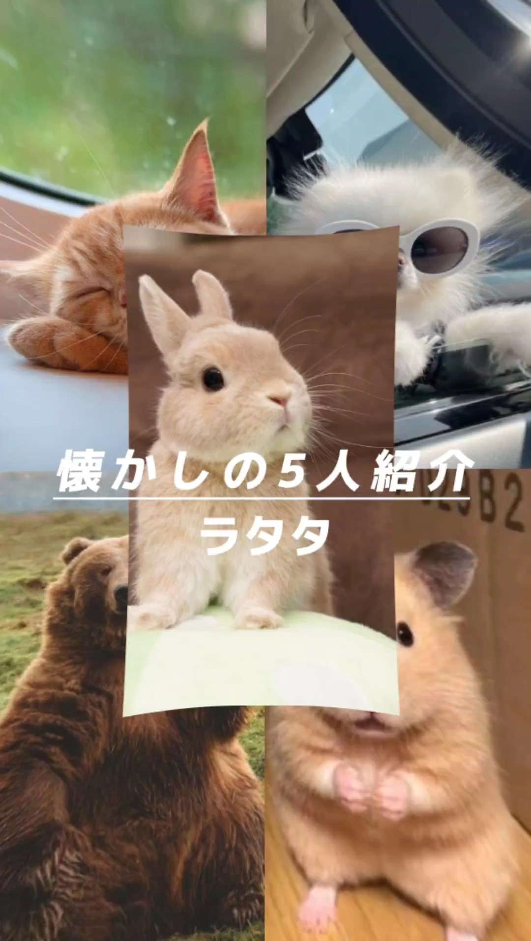5!!