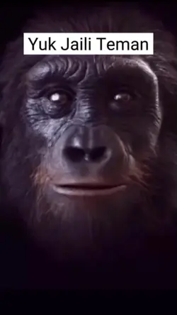 Yuk Jaili Temanmu