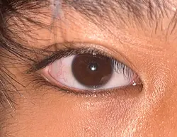Ocean eyes