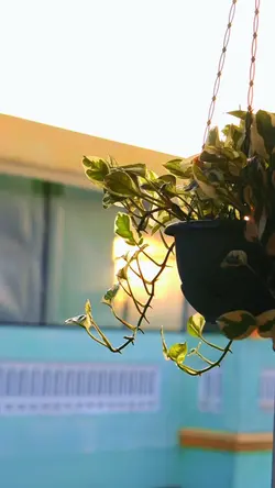 healing sound kece