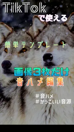 LonginessRemix|音ハメ動画