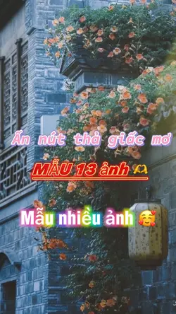 Mẫu 13 ảnh 🫶