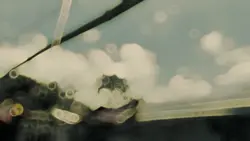 Mẫu du lịch 4 ảnh