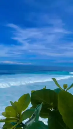 SlowmoAesthetic
