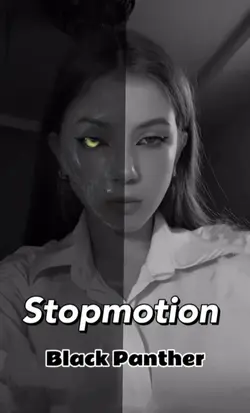 Stopmotion  panther