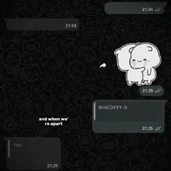 ss chat wa 