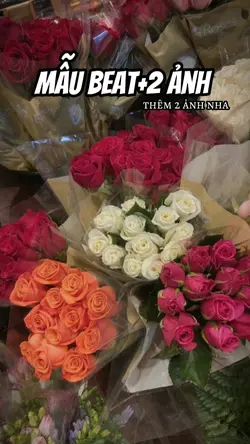 Mẫu Beat+2 Ảnh