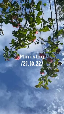 5 video, edit text