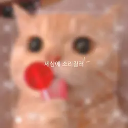 많이 사용해 주새요