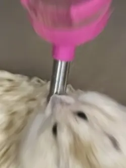 잼민이의 방학생활 끝