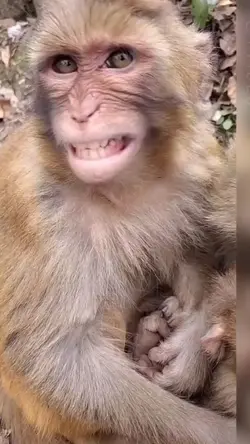 #MonkeyGlowUp