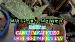 CINEMATIC PART 11