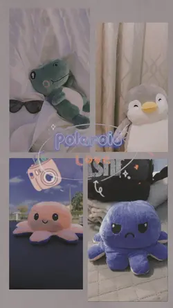 Polaroid Love