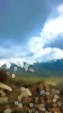 suku manja full bass