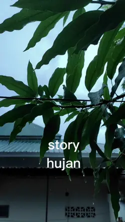 story vlog hujan
