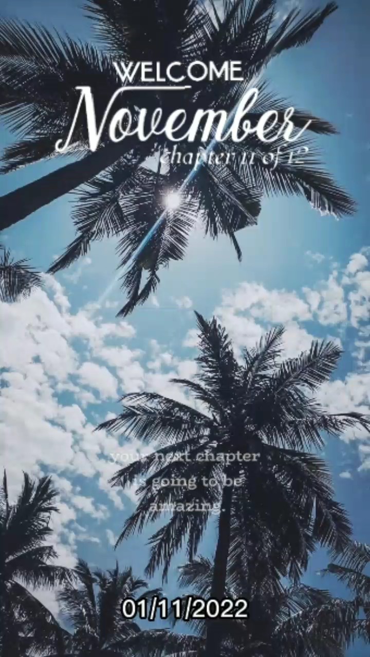 Bem-vindo novembro