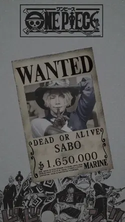 Wanted OnePiece