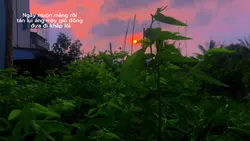 mẫu 1 ảnh ngang
