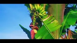 CinematicColorgrding