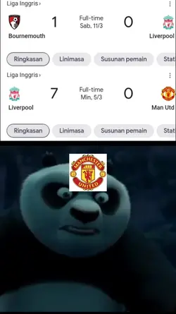 meme kungfu panda 