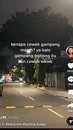 cowokan pembohong