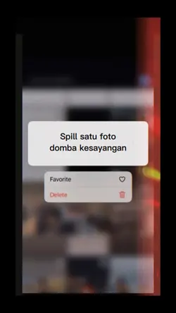 Domba garut estetik🐏