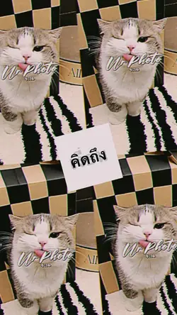 จะให้ % ความน่ารัก