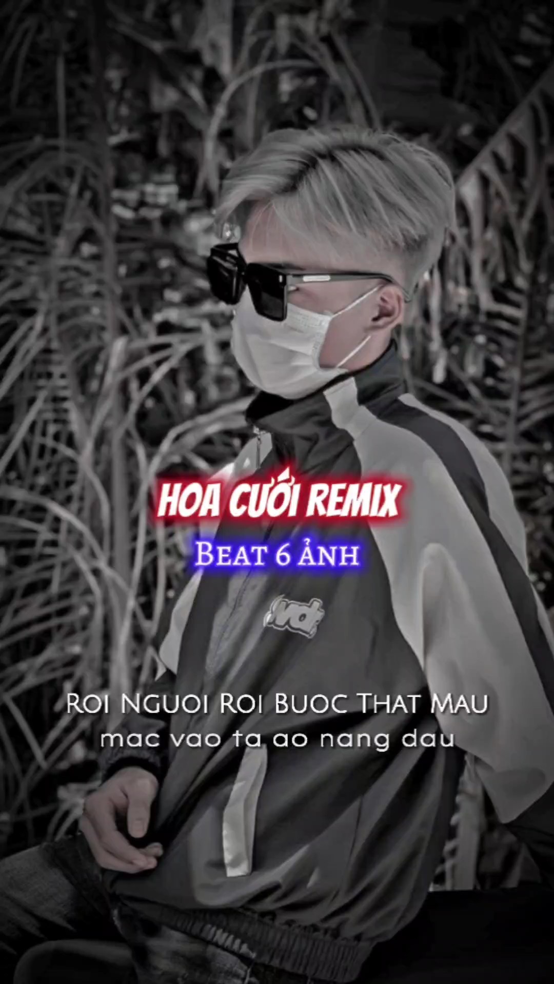 Hoa c我混音