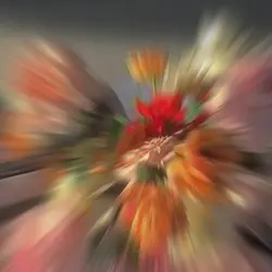 박자편집