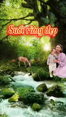Rừng đẹp