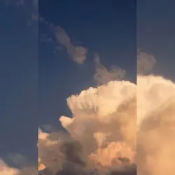 잔잔한 선율의 템블릿